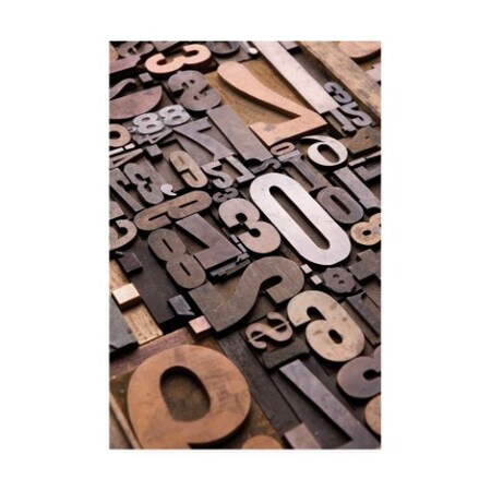 Trademark Fine Art Holli Conger 'Typography Photography 11' Canvas Art, 16x24 ALI47548-C1624GG